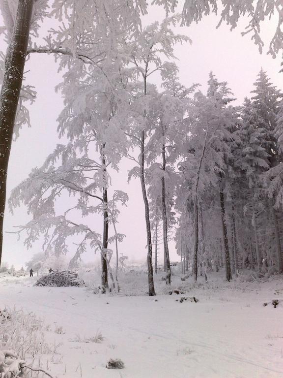 Heidehotel Hildfeld Winterberg Eksteriør bilde